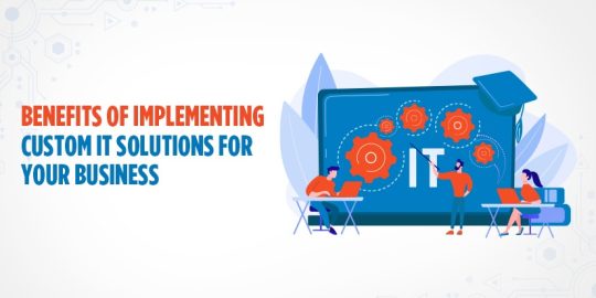 Custom IT Solutions for Your Business in Chicago, Texas, California ...
